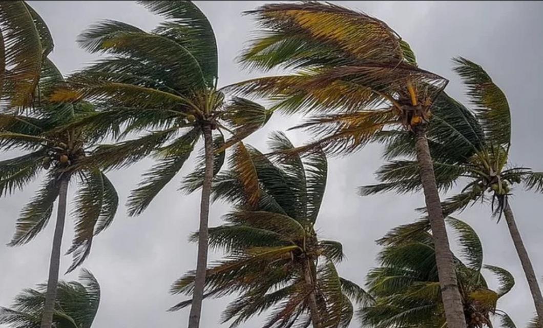 Foto: Reprodução/ Instagram