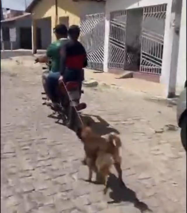 Foto: Reprodução / Redes Sociais