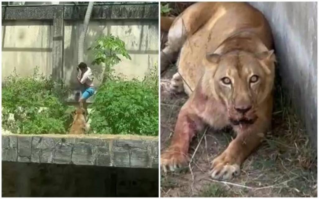 Foto: Reprodução/ Instagram