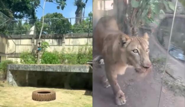 Foto: Reprodução/ Instagram 