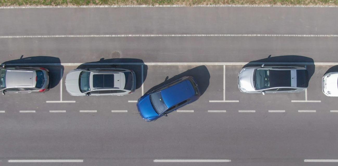 Foto: Reprodução/ OLX