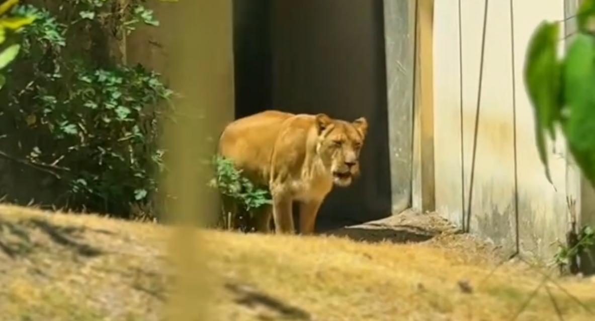 Foto: Reprodução/ Instagram 