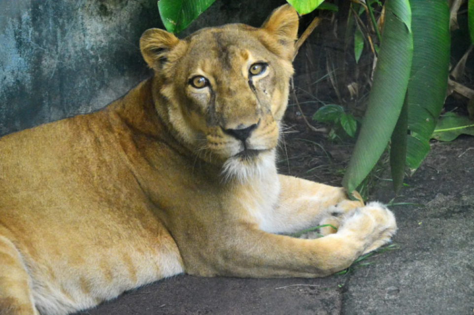 Reprodução: PMJP / Kleide Teixeira