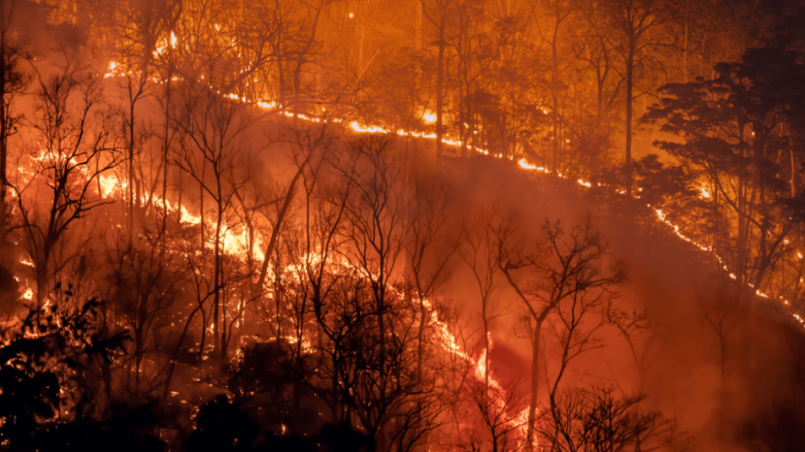 Reprodução: Paraíba.com / Reprodução / Canva