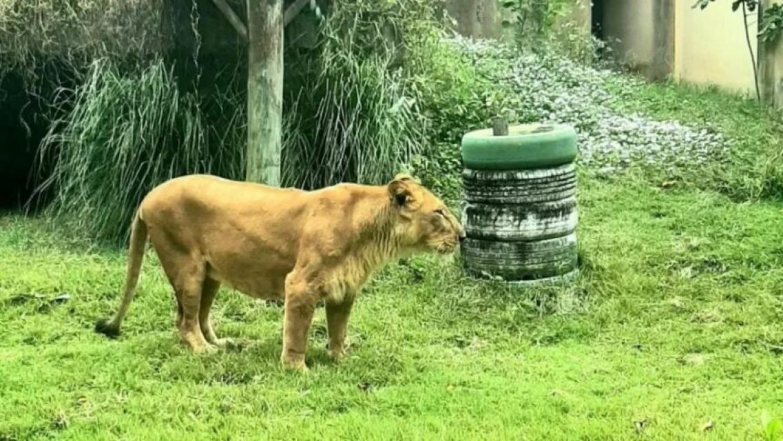 Foto: Reprodução/ Instagram 