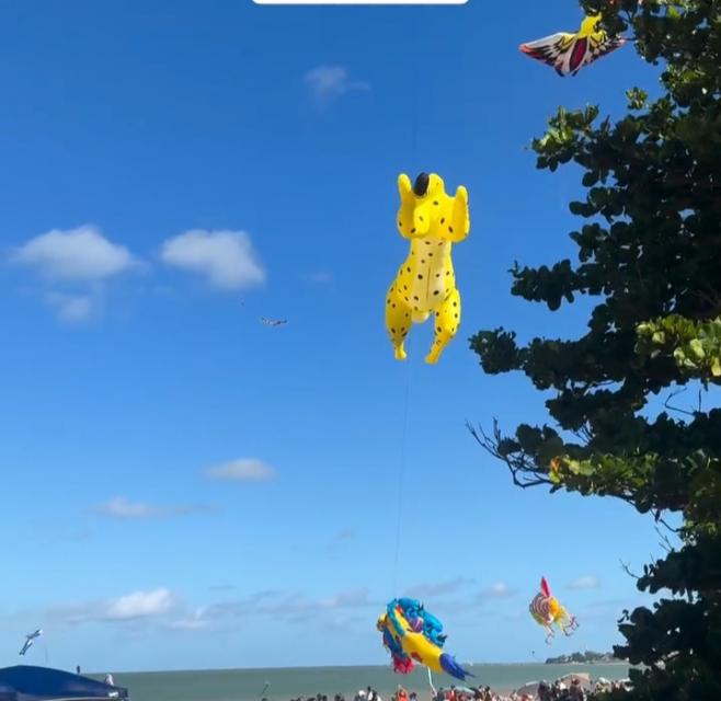 Reprodução Instagram 