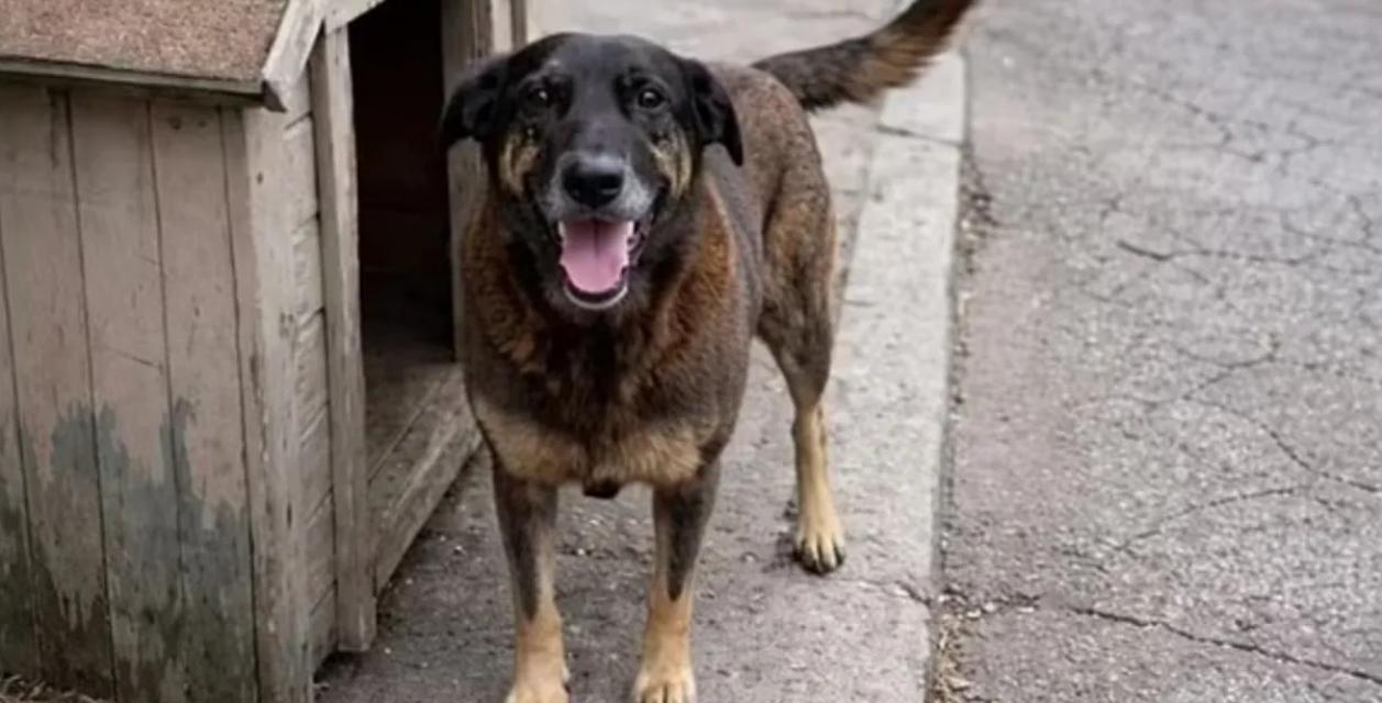 Foto: Reprodução/ Facebook