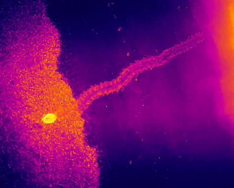 Foto: Reprodução/ Instagram 