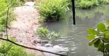 Foto: Reprodução/ Instagram