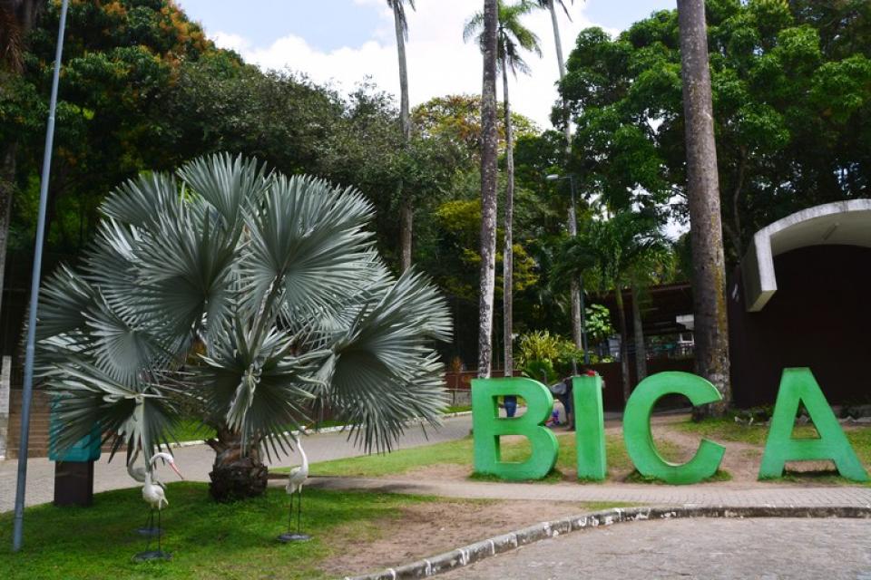 Foto: Reprodução/ Instagram