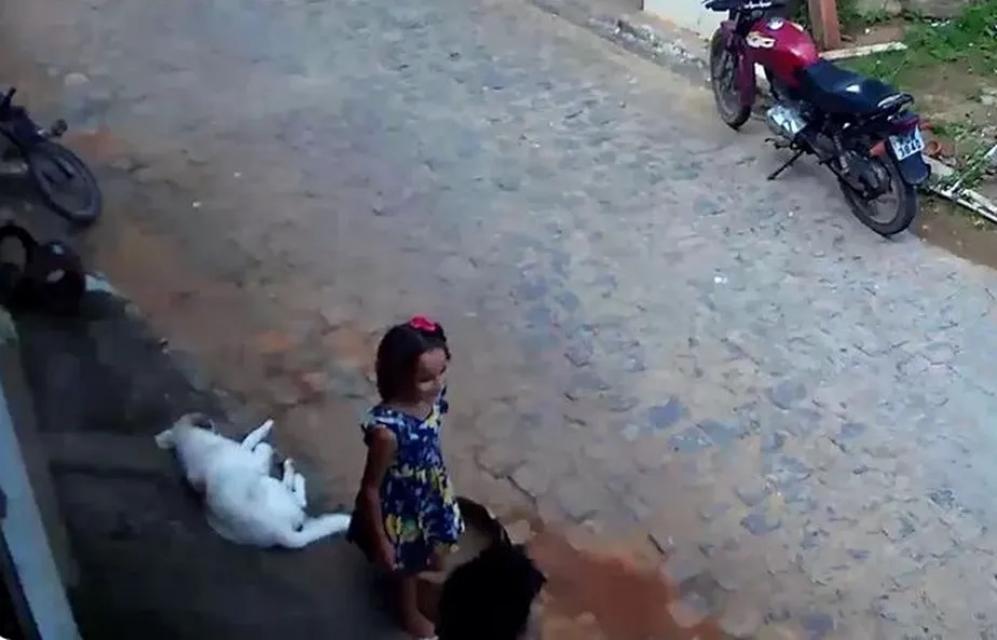 Foto: Reprodução/ Redes Sociais