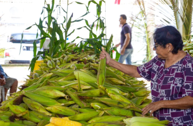 Reprodução: PMJP / Assessoria