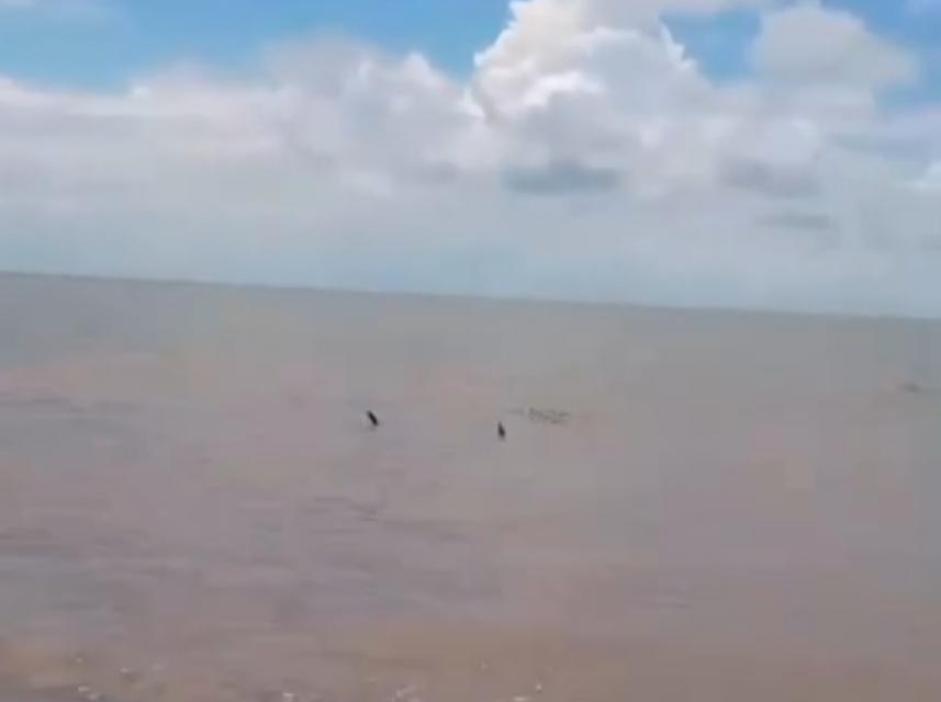 Foto: Reprodução/ Instagram 