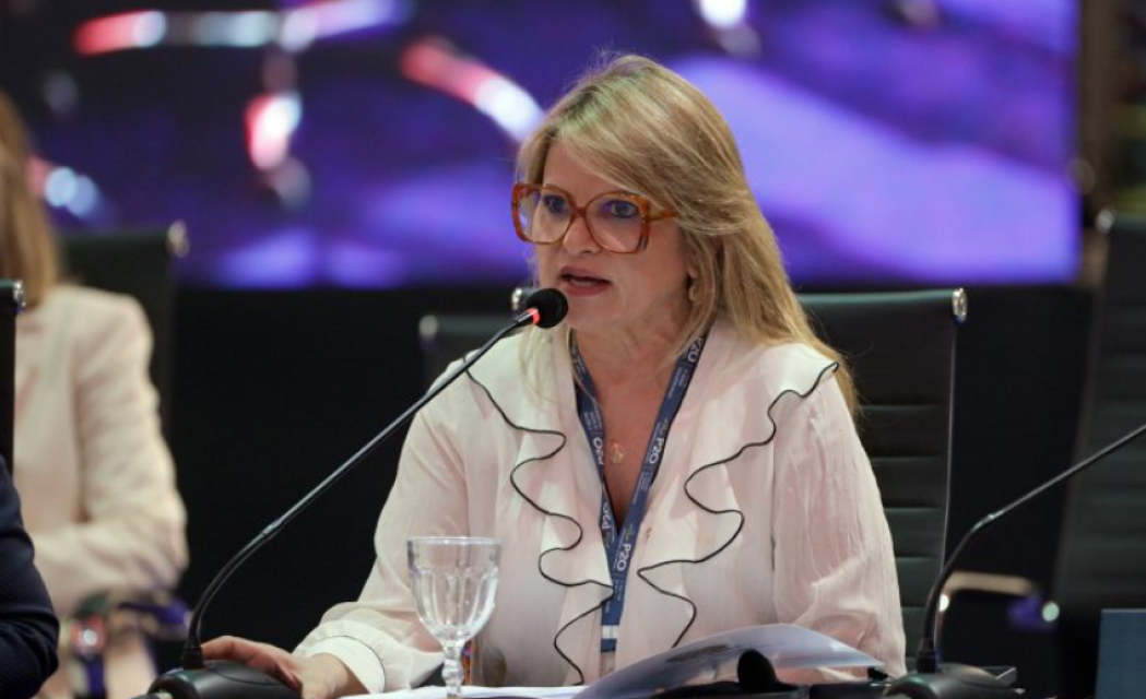 Reprodução: Agência Câmara de Notícias