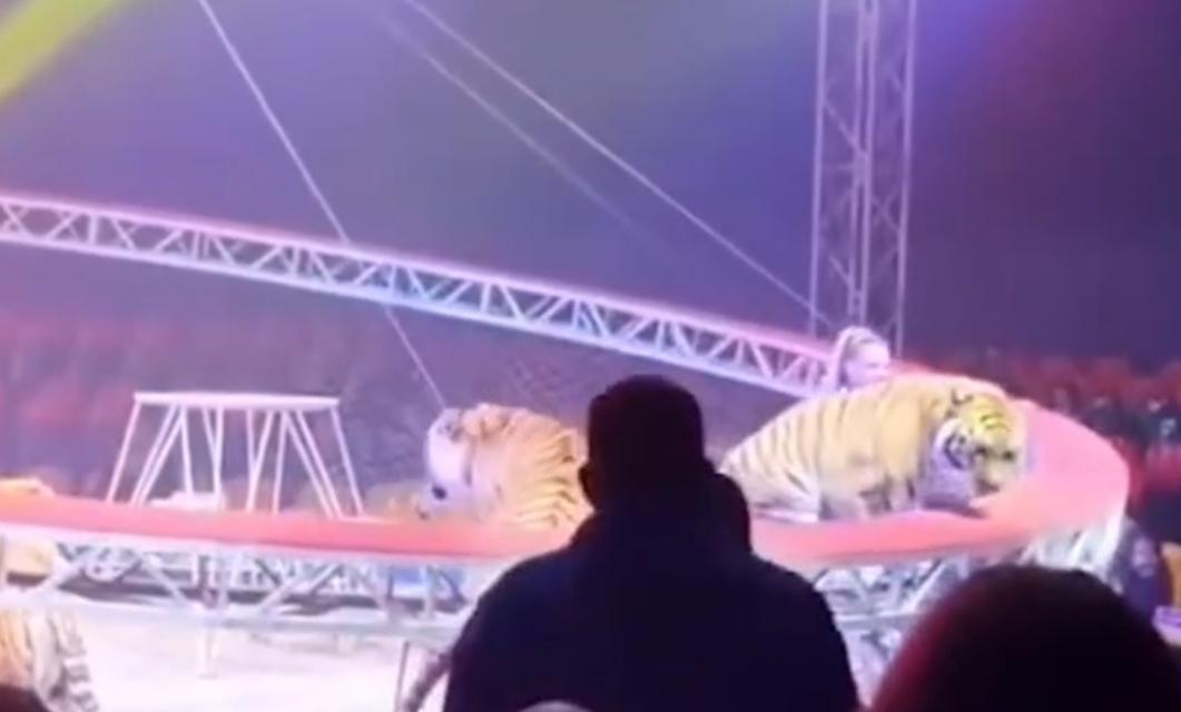 Foto: Reprodução/ Instagram 