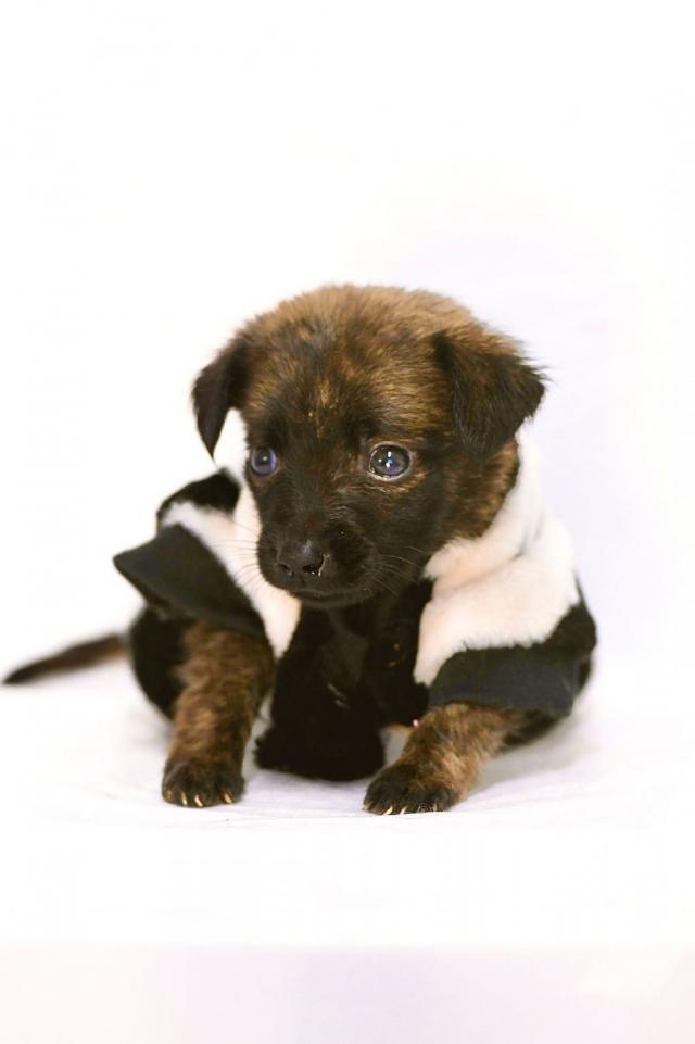 Foto: Arquivo/SECOM JP