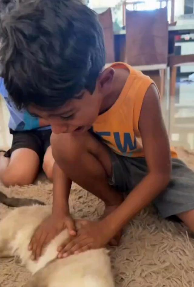 @rafaellatinoco