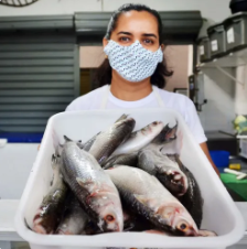 Reprodução: PMJP / Kleide Teixeira - Arquivo/SECOM