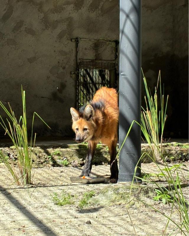 Foto: Reprodução/ Instagram 