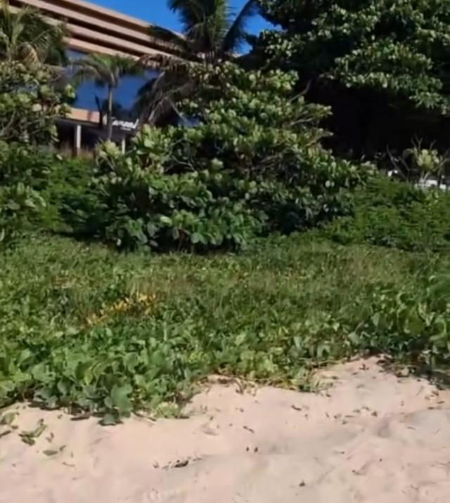 Foto: Reprodução/ Instagram 