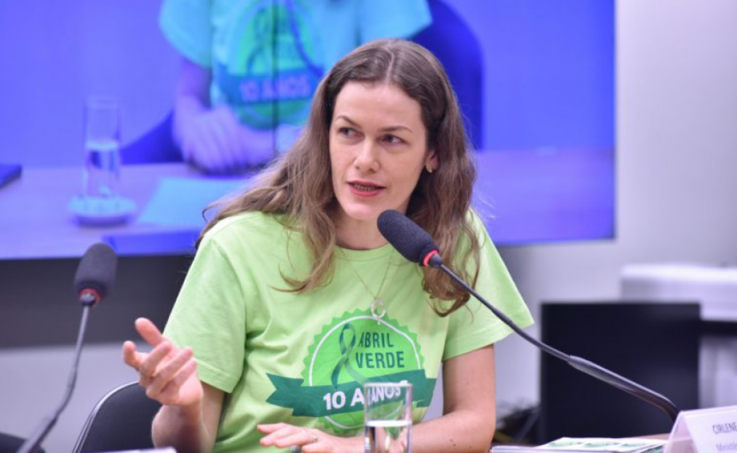 Reprodução: Agência Câmara de Notícias