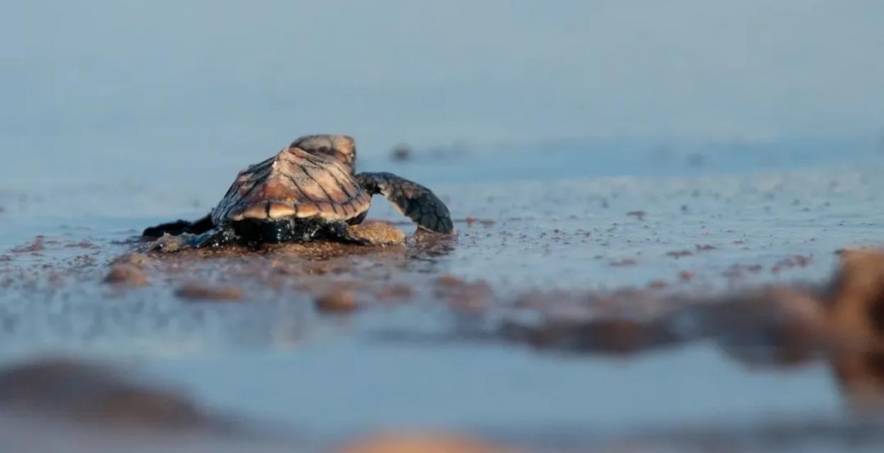 Foto: Reprodução/ Instagram 